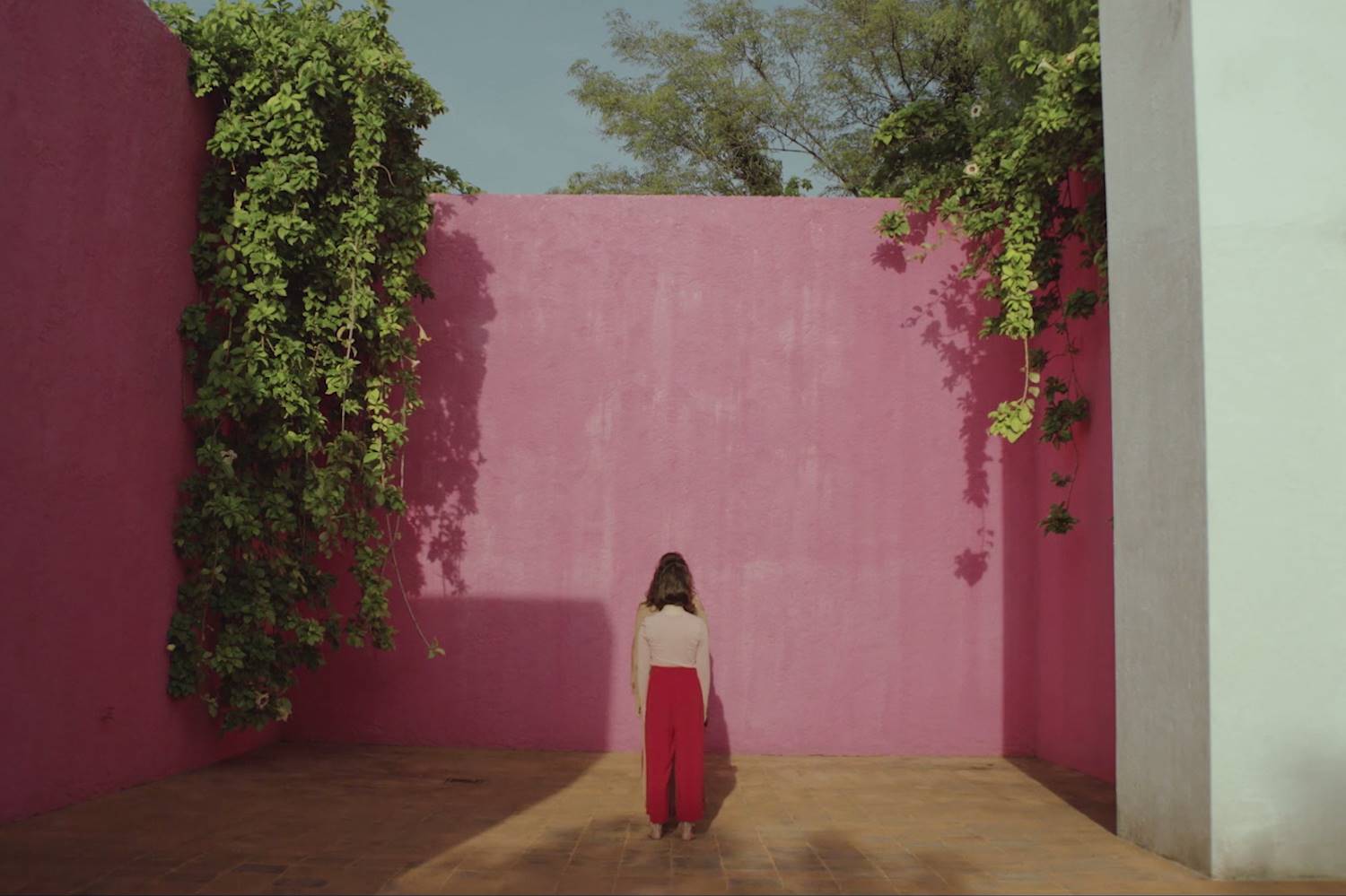Di sí al rosa en las paredes